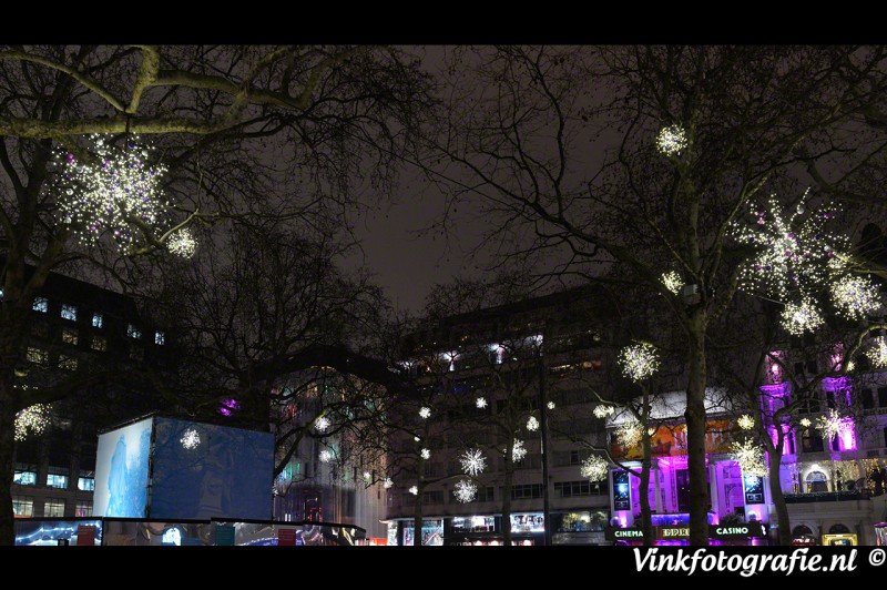 Kerstlicht in de bomen